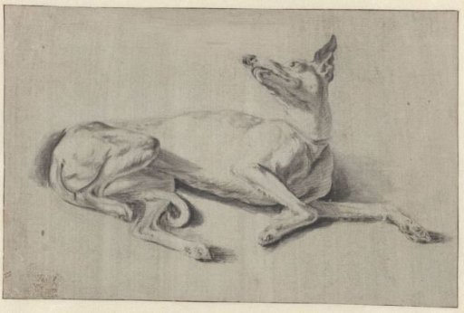 Lying Hare