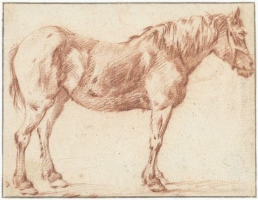 Standing Horse, Facing Right