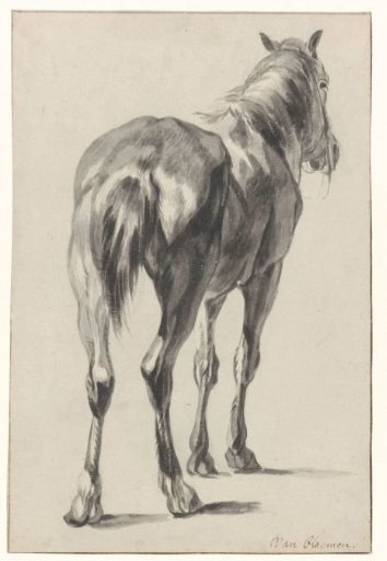 Standing horse, viewed obliquely from behind, facing right
