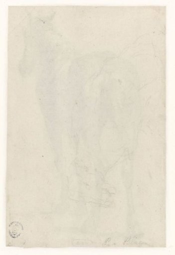Sketch of a sitting cow