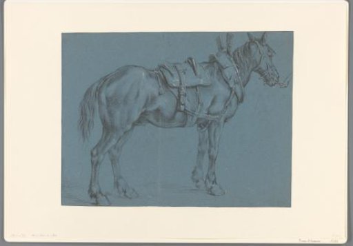 Bridled and saddled horse, facing right