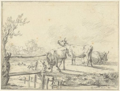 Cows in a meadow
