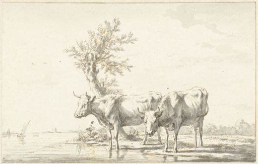 Two cows on the bank of a river