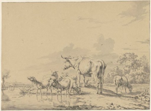 Cow among sheep at the water's edge