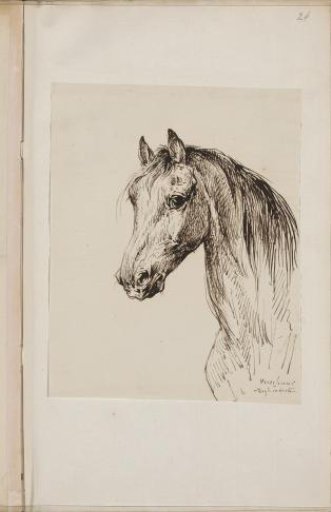 Horse