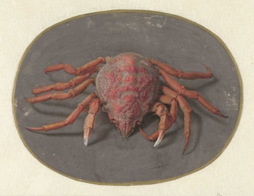 Crab