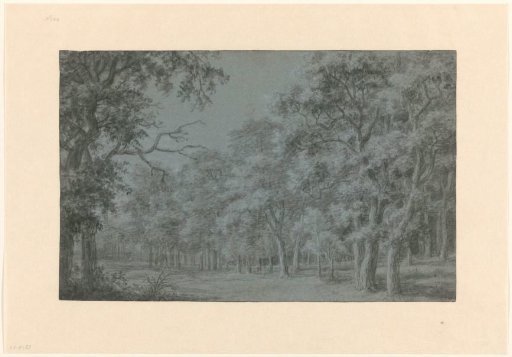 Wooded Landscape