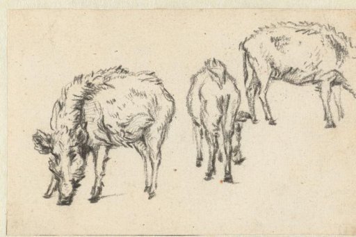 Study of Three Boars