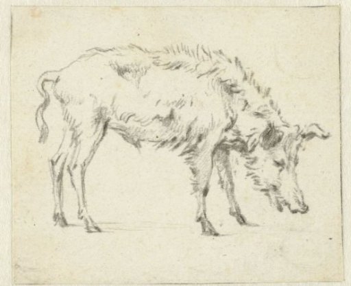 Study of a Standing Boar, Facing Right