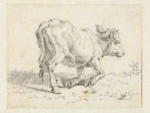 Study of a Kneeling Calf