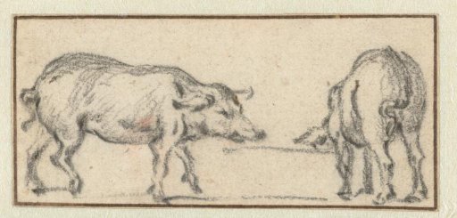 Two Young Pigs at a Trough