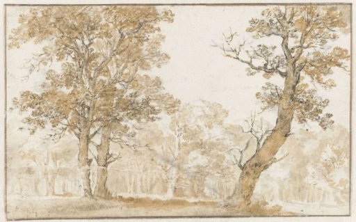 The Hague Forest