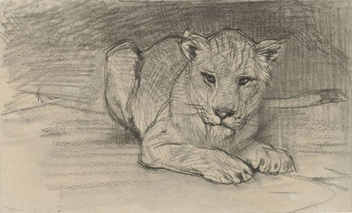 Recumbent Lioness