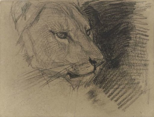 Head of a Lion