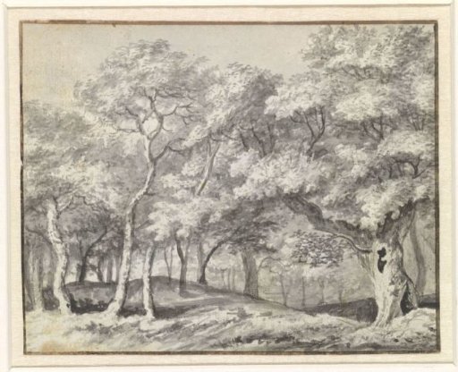 Wooded Landscape