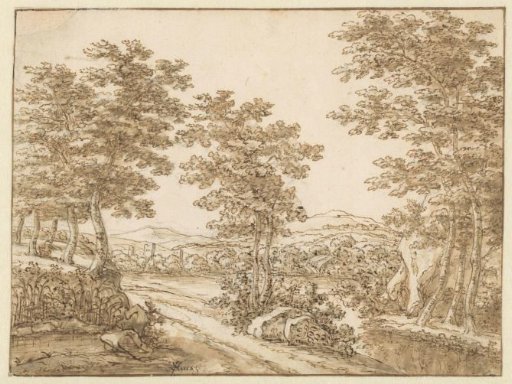 Hilly Wooded Landscape