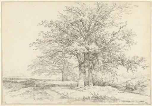 Landscape with three trees
