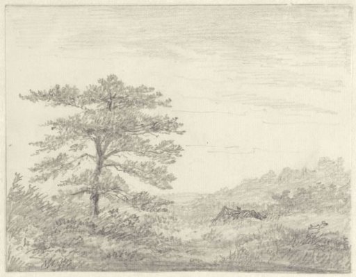 Landscape with Hut