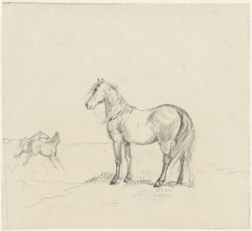 Three Horses in a Meadow