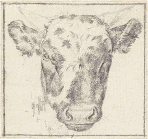 Calf's head