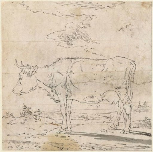 Standing cow, facing left