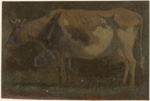 Standing cow, facing left