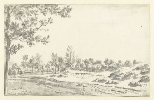 A Path along Sand Hills and Trees