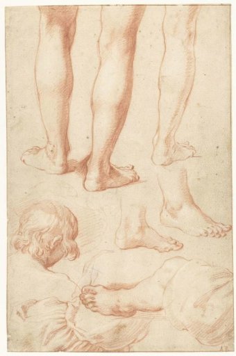 Study sheet with legs and the upper body of a boy