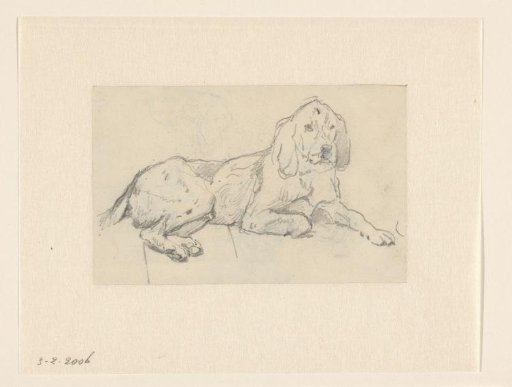 Lying hunting dog