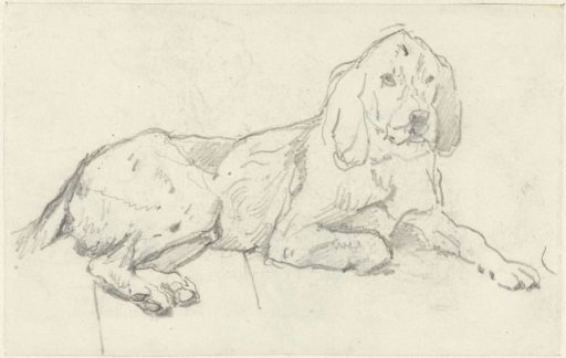 Studies of a hunting dog