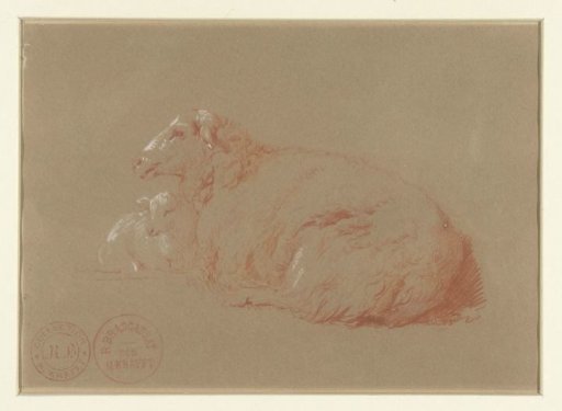 Reclining sheep with lamb