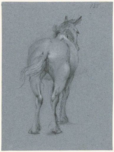 Study of a horse waving its tail, from behind