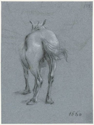 Study of a horse with waving tail, from behind