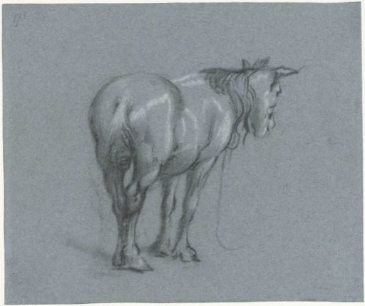 Study of a horse from behind, facing right