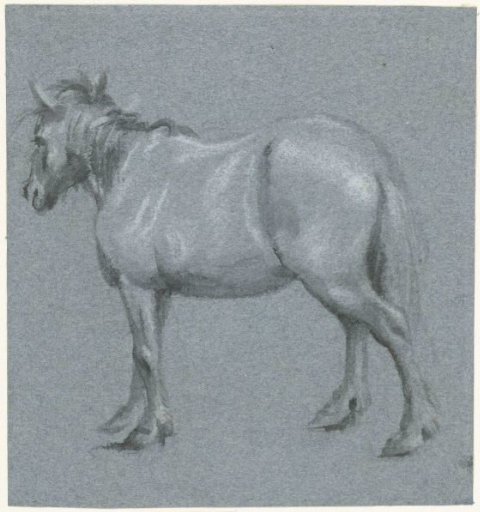Horse in profile, facing left