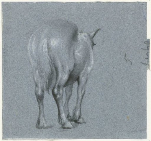 Study of a horse, from behind