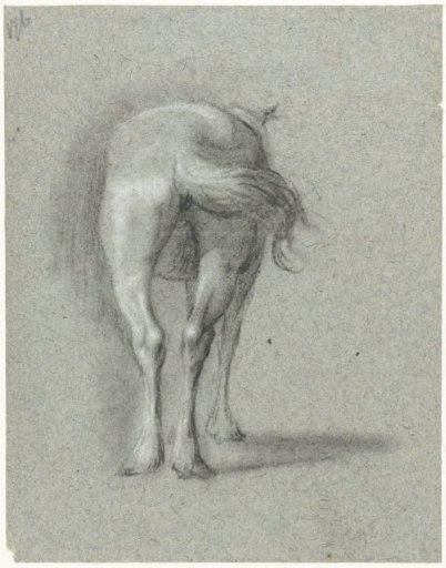 Study of the hindquarters of a horse