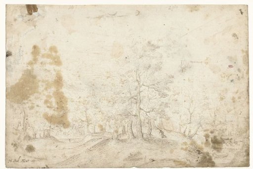 Wooded Landscape