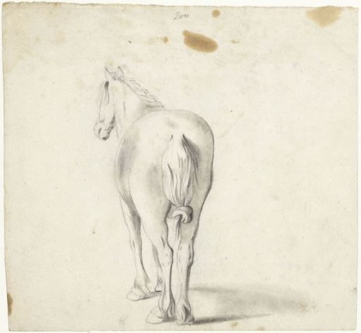 Horse with knotted tail, from behind
