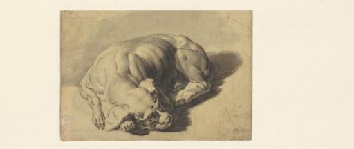 Sleeping dog