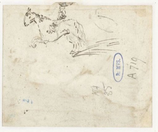 Horse and rider