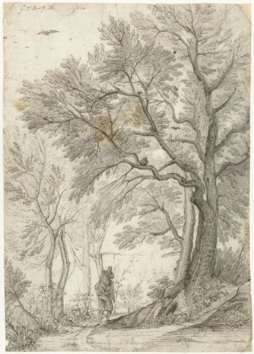 Woodland of the Villa Madama outside Rome