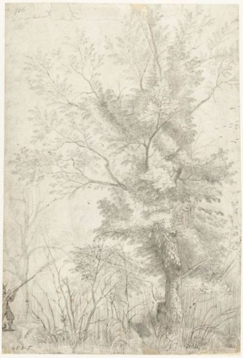 Grove of the Villa Madama outside Rome, with a Shooting Hunter