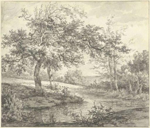 Landscape with trees by the water