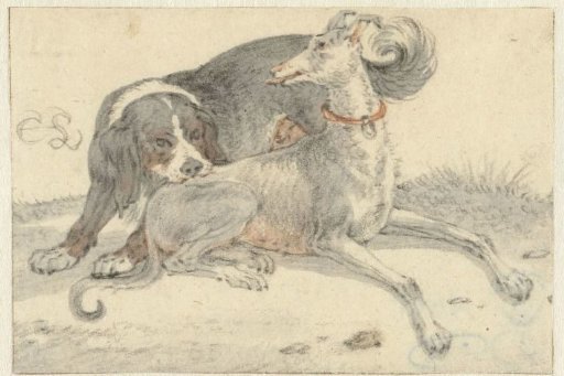 Greyhound with a Spaniel