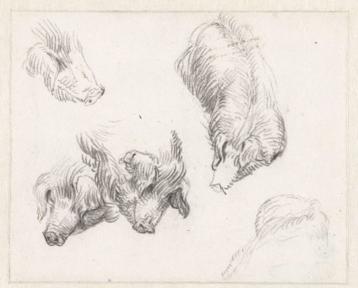 Study Sheet with Pig Heads