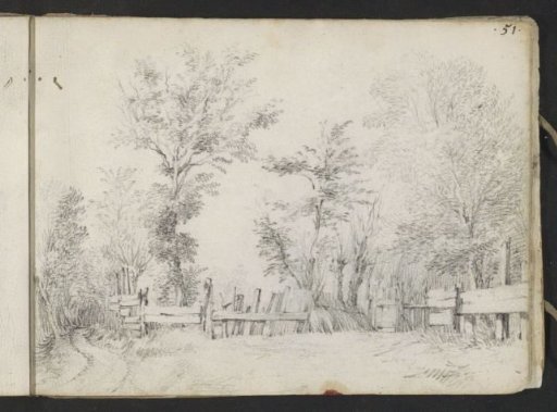 Trees along a wooden fence in the dunes of Haarlem