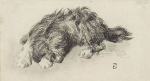 Sleeping Dog