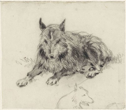 Reclining Shepherd Dog