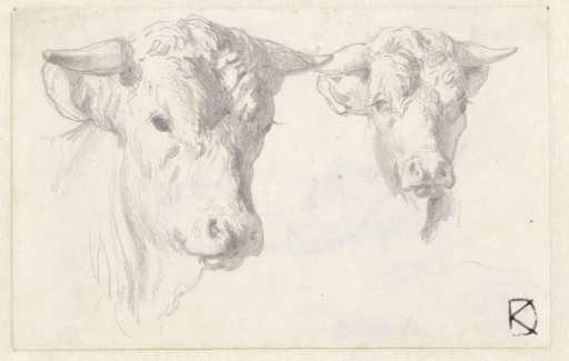 Two cow heads